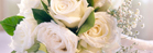 HYATT GIFT REGISTRY